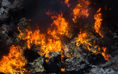 Impacto ambiental de un incendio